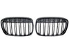 BMW X1 grilles