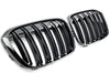 BMW X1 grilles