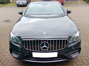 Mercedes E Class GTS Grille