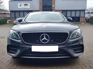 Mercedes E Class Panamericana Grille