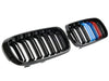 BMW X6M Grill